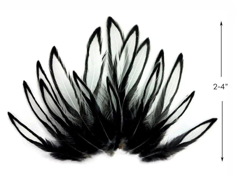 Black and white variegated feathers for DIY crafts and fashion decor, 2-4 inches long.