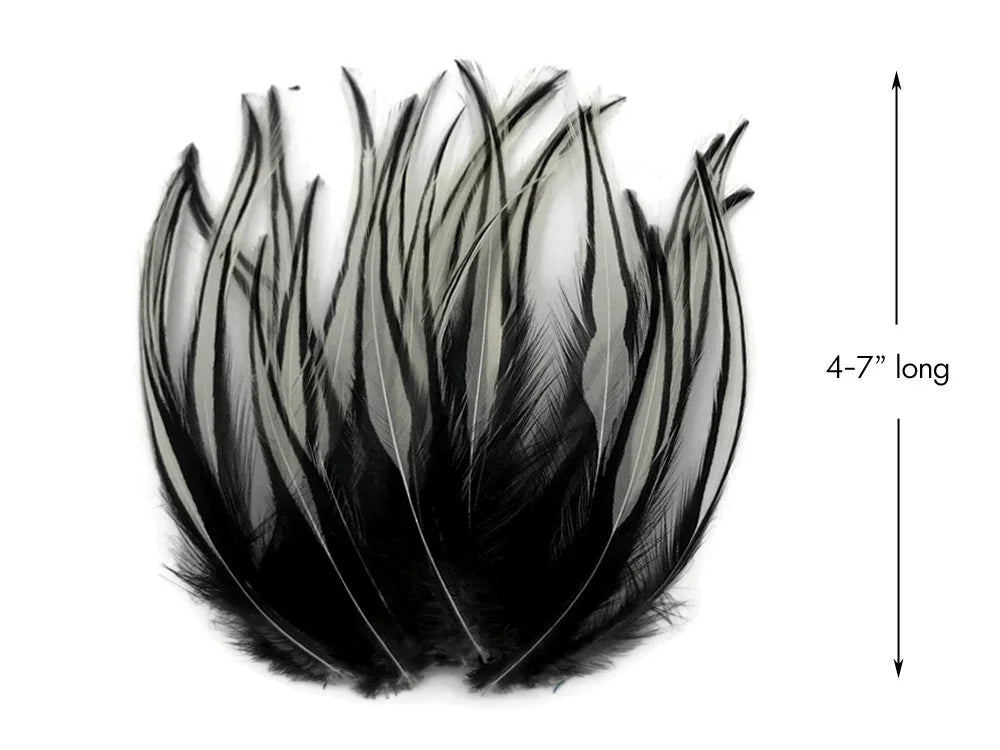 Black and white striped feathers for crafts, 4-7 inches long.