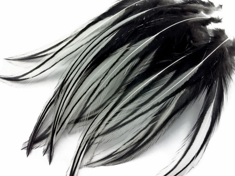 10 Pieces - Natural White Dyed BLW Laced Long Rooster Cape Whiting Farms Feathers