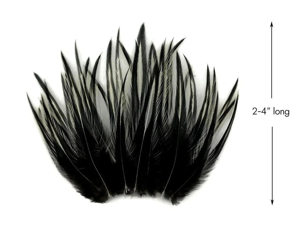 Black and white patterned craft feathers, 2-4 inches long for DIY fashion and decor.