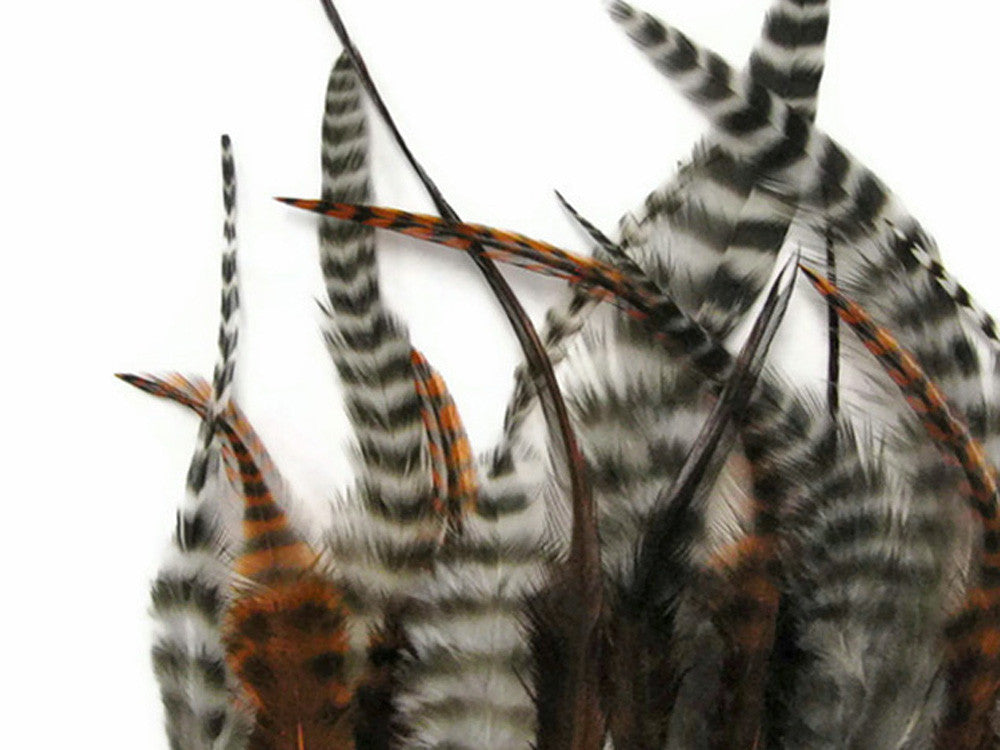 50 Pieces - Natural Tone Short Whiting Farm Rooster Hair Extension Wholesale Feathers (Bulk)