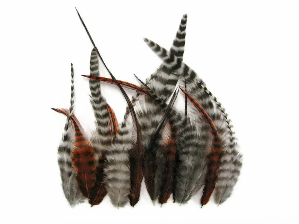 Natural striped feathers in black, white, and reddish-brown for DIY crafts and fashion decor.