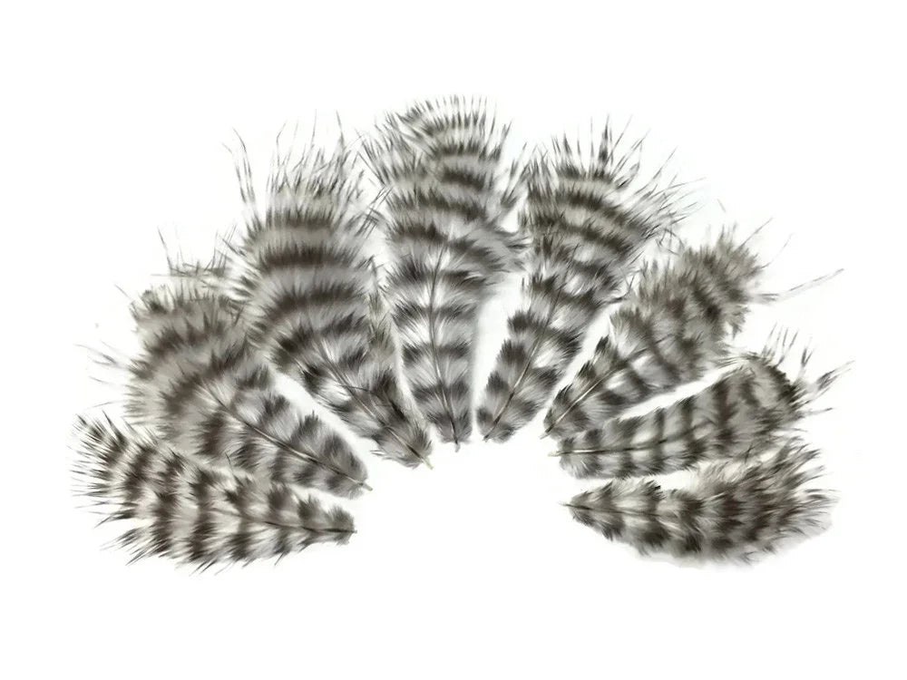Striped grey and white natural feathers for DIY crafts and fashion décor.