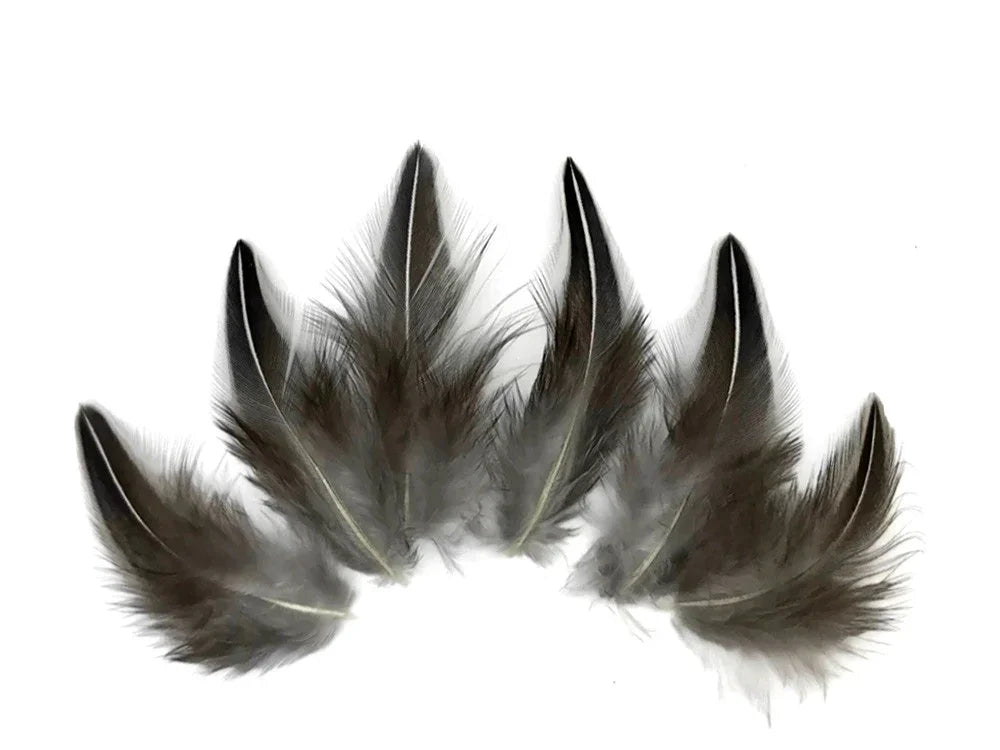 Five soft dark grey craft feathers arranged in a curved fan shape on a white background.
