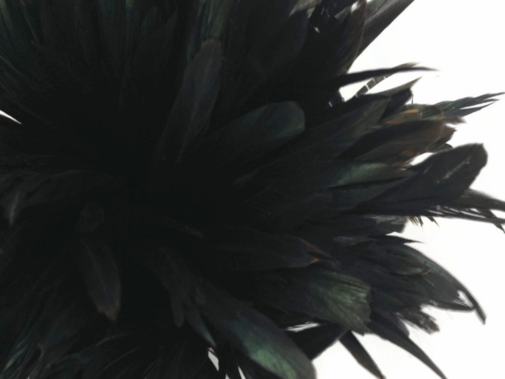 1/8 Lb. - 16-18" Natural Black Half Bronze Coque Tail Strung Wholesale Feathers (Bulk)