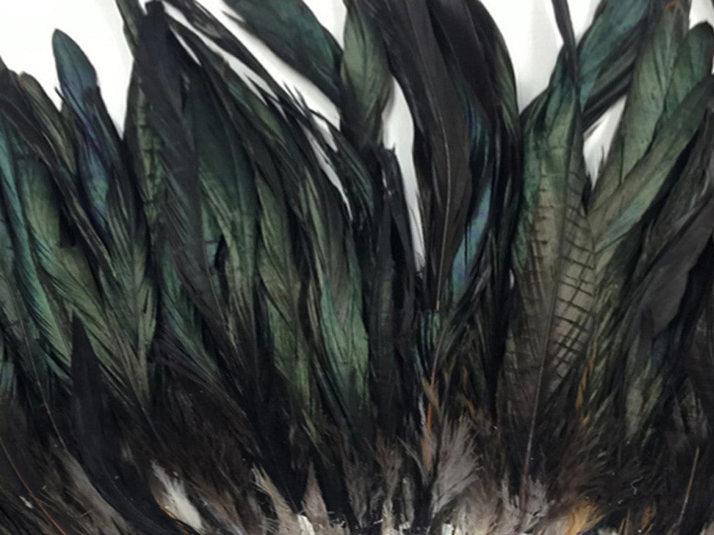 2.5 Inch Strip - Natural Black Half Bronze Coque Tail Strung Rooster Feathers