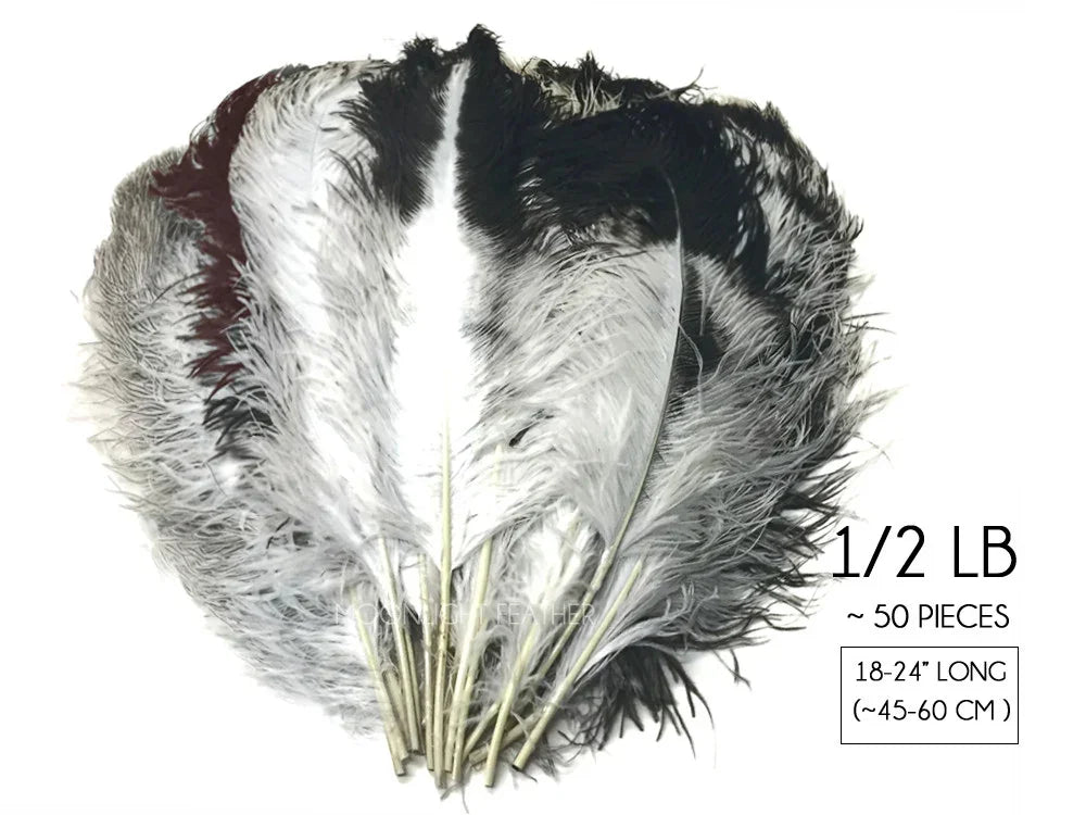 Bundle of 50 black and white ostrich feathers, 18-24 inches long for crafts and décor.