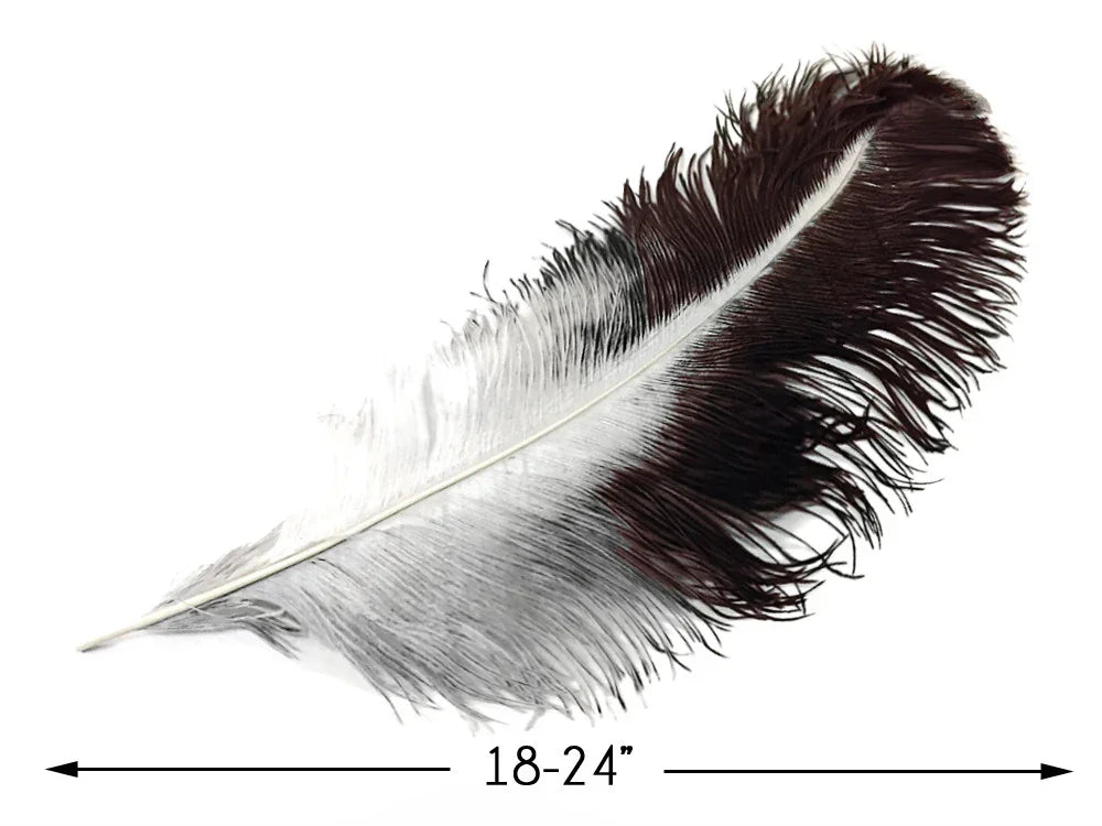 Large 18-24 inch black and white ostrich feather for crafts and fashion decor.