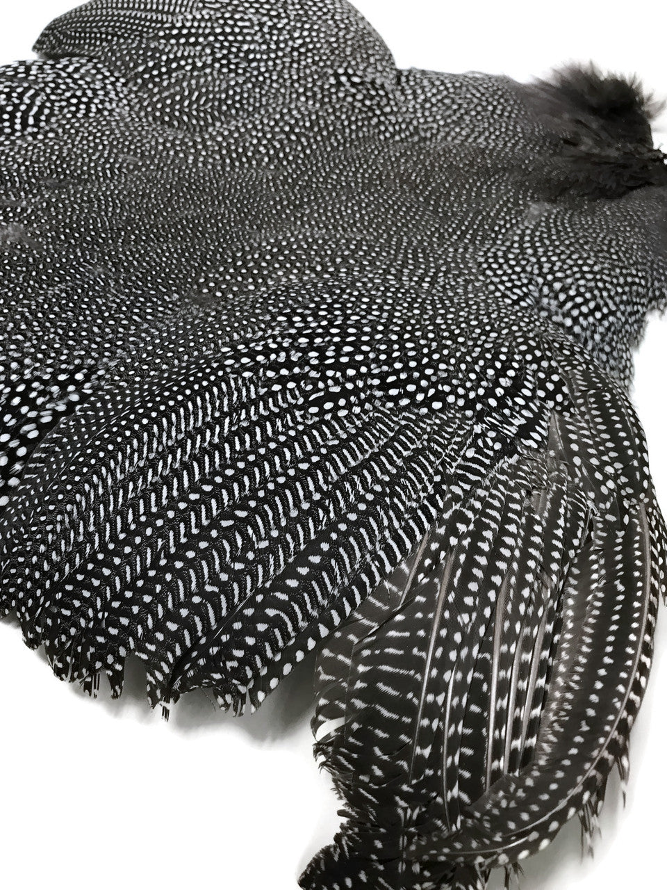 1 Piece - High Quality Guinea Fowl Natural Polka Dot with Wing Complete Pelt Feathers (Bulk)