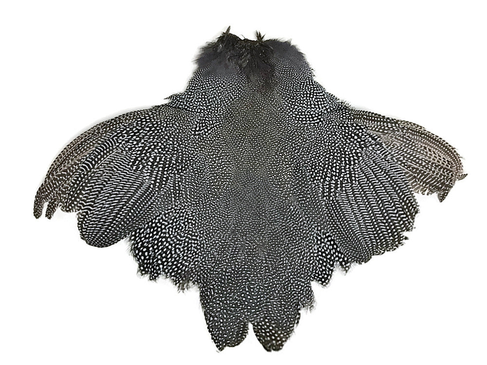 1 Piece - High Quality Guinea Fowl Natural Polka Dot with Wing Complete Pelt Feathers (Bulk)
