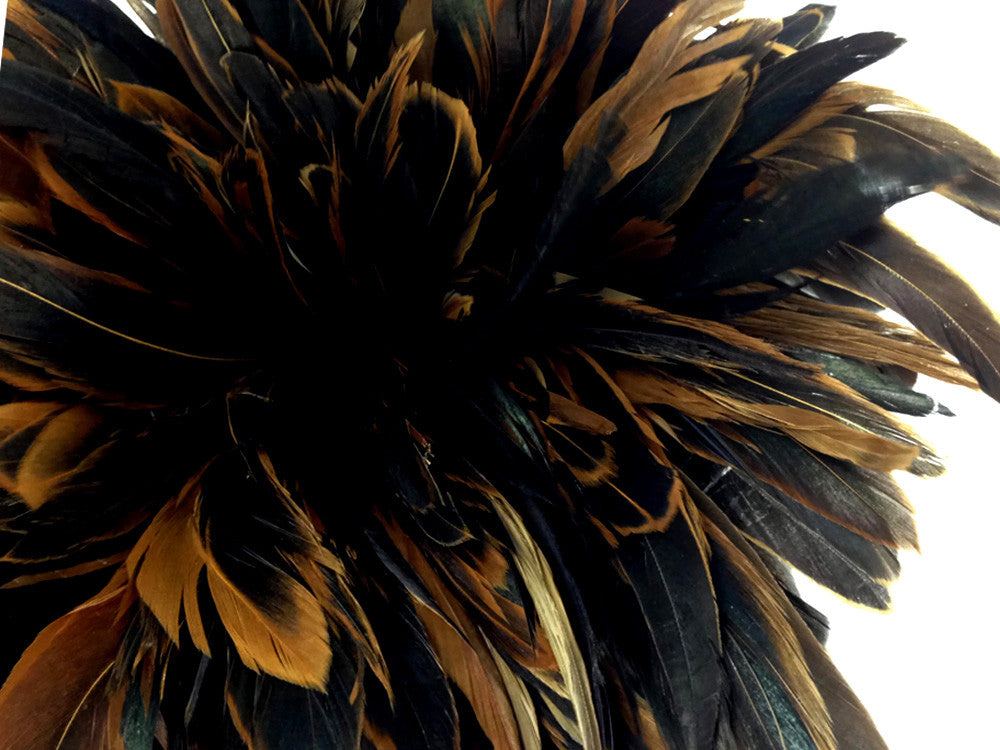 2.5 Inch Strip - Natural Brown Half Bronze Coque Tail Strung Rooster Feathers