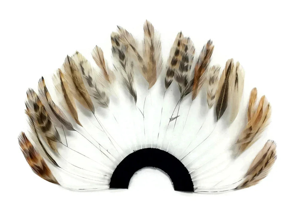 Natural brown and tan patterned feathers arranged in a decorative fan shape.