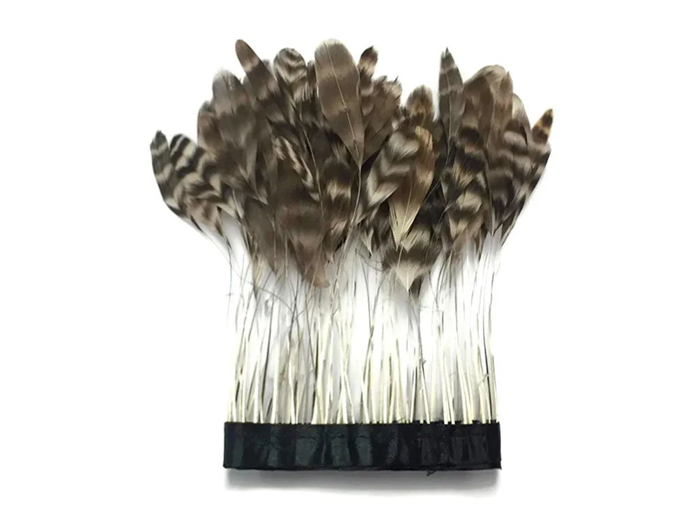 Natural brown striped feathers with white quills attached to a black headband.