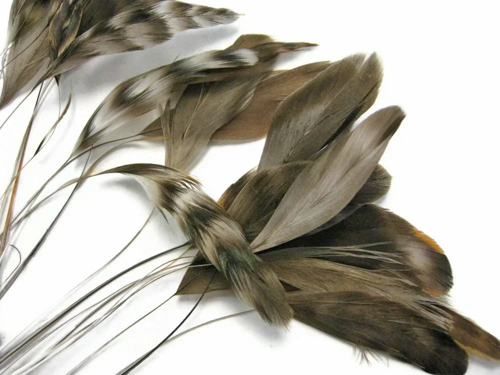 Natural brown and white patterned feathers for crafts and DIY fashion decor.