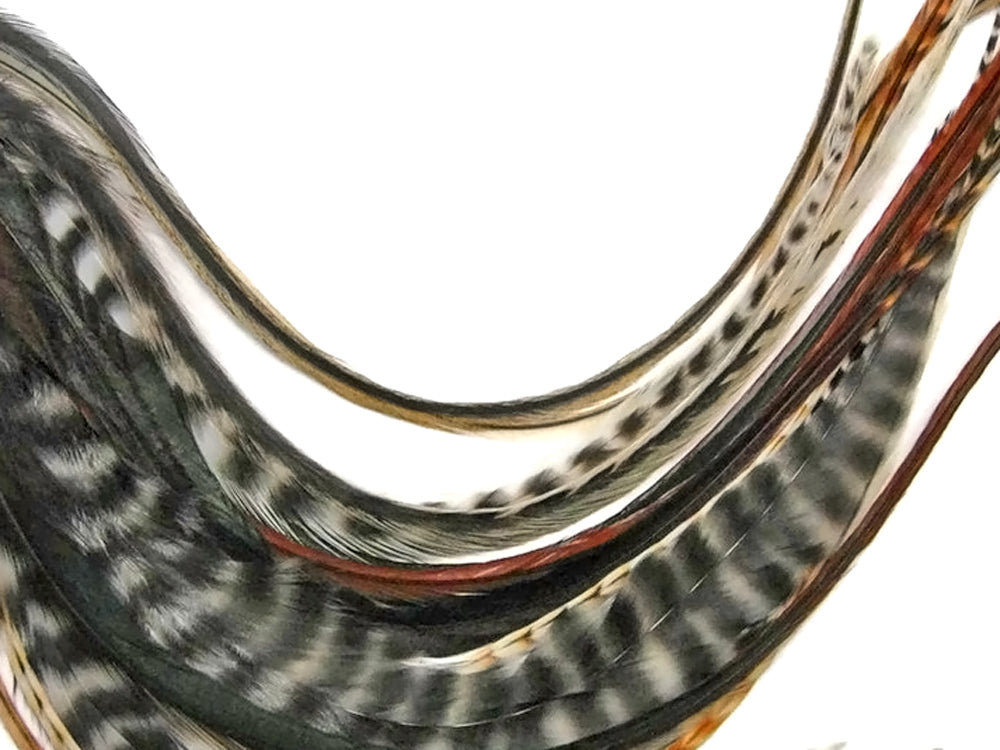 10 Pieces - Natural Combo Mix Long Whiting Farms Grizzly Rooster Saddle Hair Extension Feathers