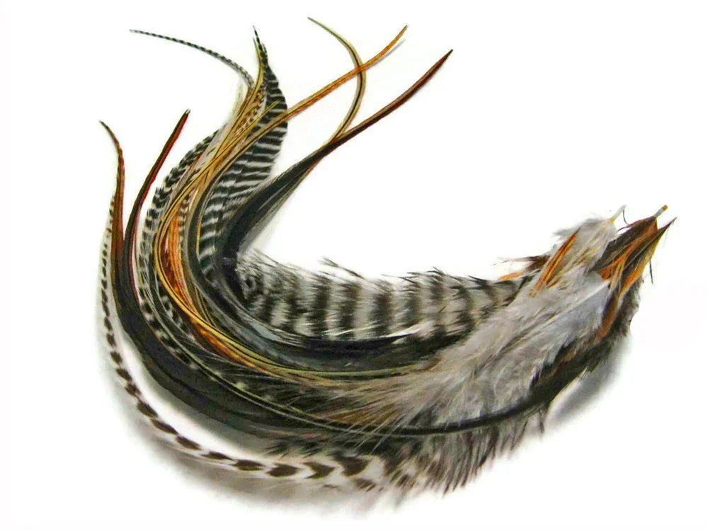 Assorted natural patterned feathers for DIY crafts and fashion accessories.