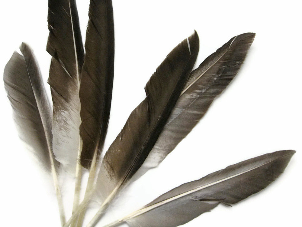 1 Pack - Natural Brown Duck Primary Wing Pointer Feathers 0.50 Oz.
