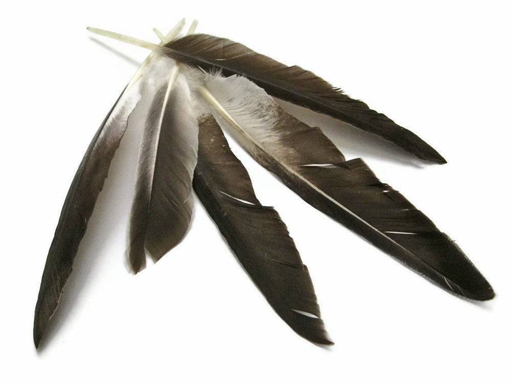 1 Pack - Natural Brown Duck Primary Wing Pointer Feathers 0.50 Oz.