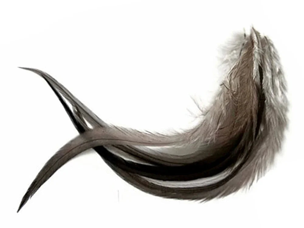 Natural grey and black feathers for DIY crafts and fashion accessories on a white background.