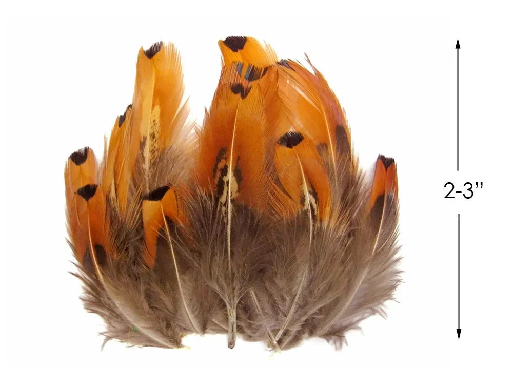 Orange and brown decorative feathers for crafts, 2-3 inches in length.