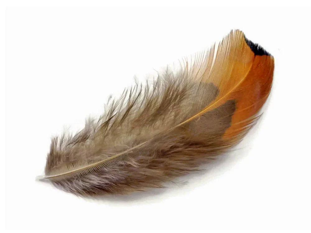 Brown and orange craft feather with a dark tip on a white background