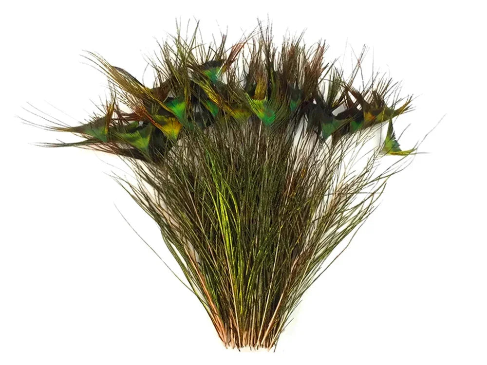 Iridescent green and gold peacock feathers for DIY crafts and fashion decor.