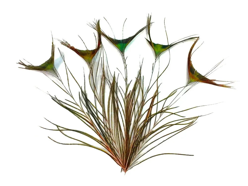Iridescent green and gold peacock feathers for DIY crafts and fashion decor.