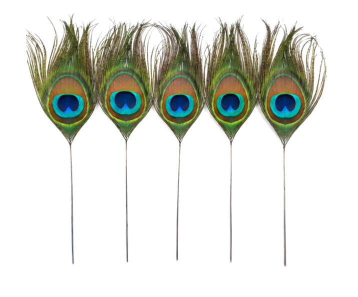 10 Pieces - 10-12" Stripped Natural Green Iridescent Peacock Tail Eye Feathers