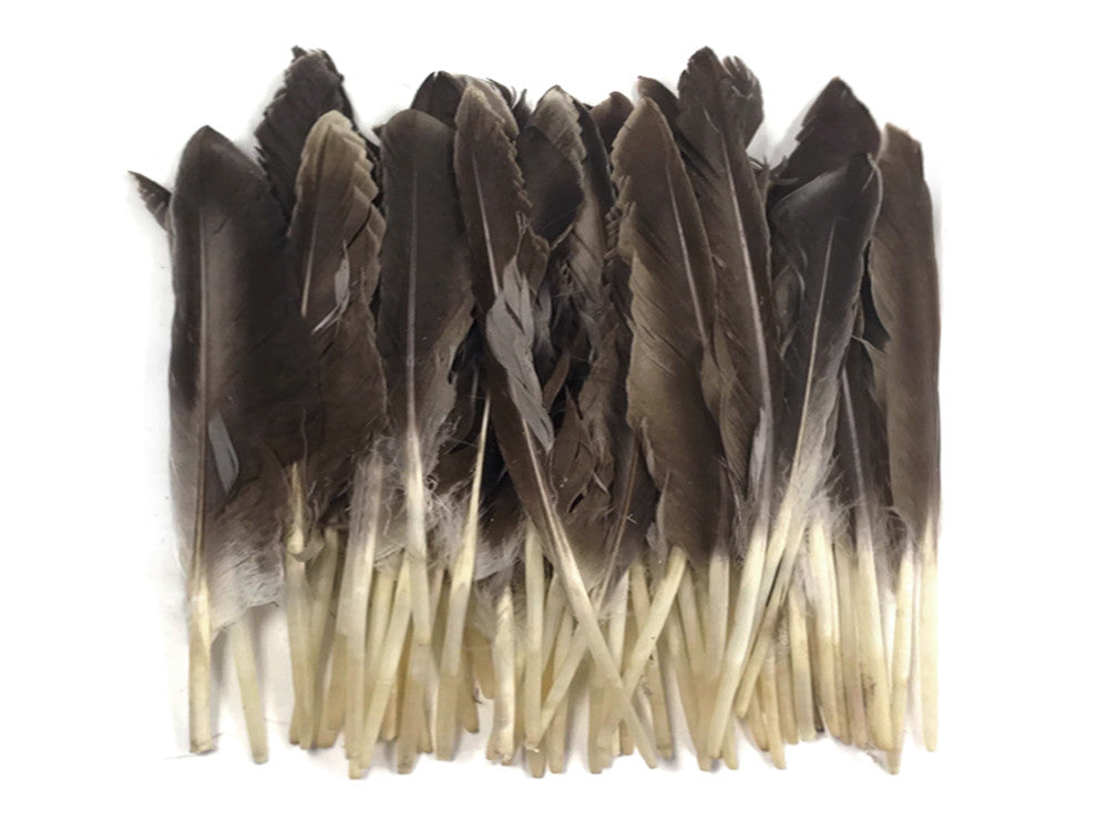 1 Pack - Natural Brown Duck Primary Wing Pointer Feathers 0.50 Oz.