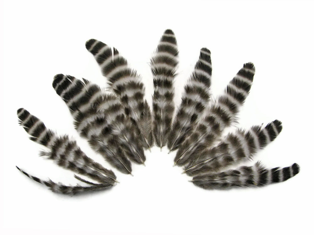 1 Dozen - Natural Grizzly Whiting Farm Hen Saddle Feather