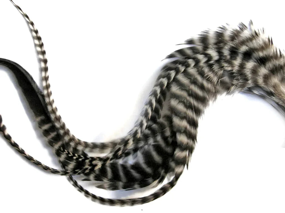 Black and white striped decorative feathers for DIY crafts and fashion accessories.