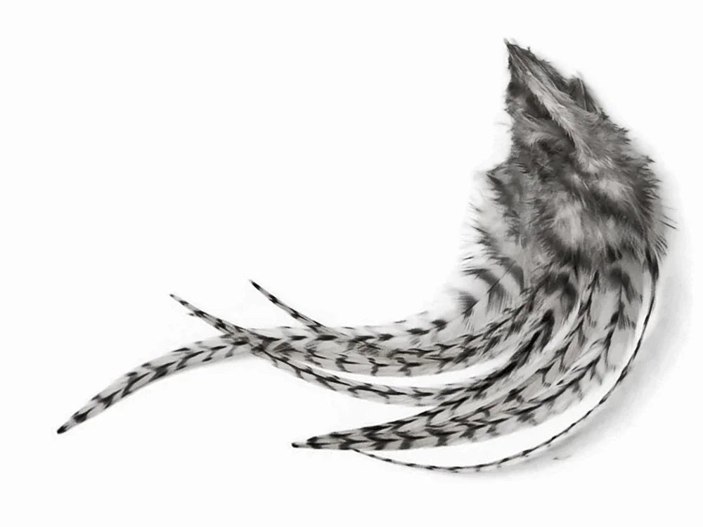 Black and white patterned feathers for DIY crafts and fashion accessories