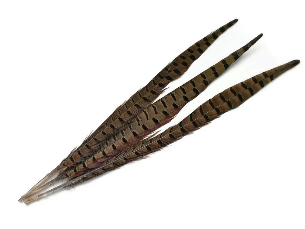 Natural brown striped pheasant feathers for DIY crafts and fashion decor.