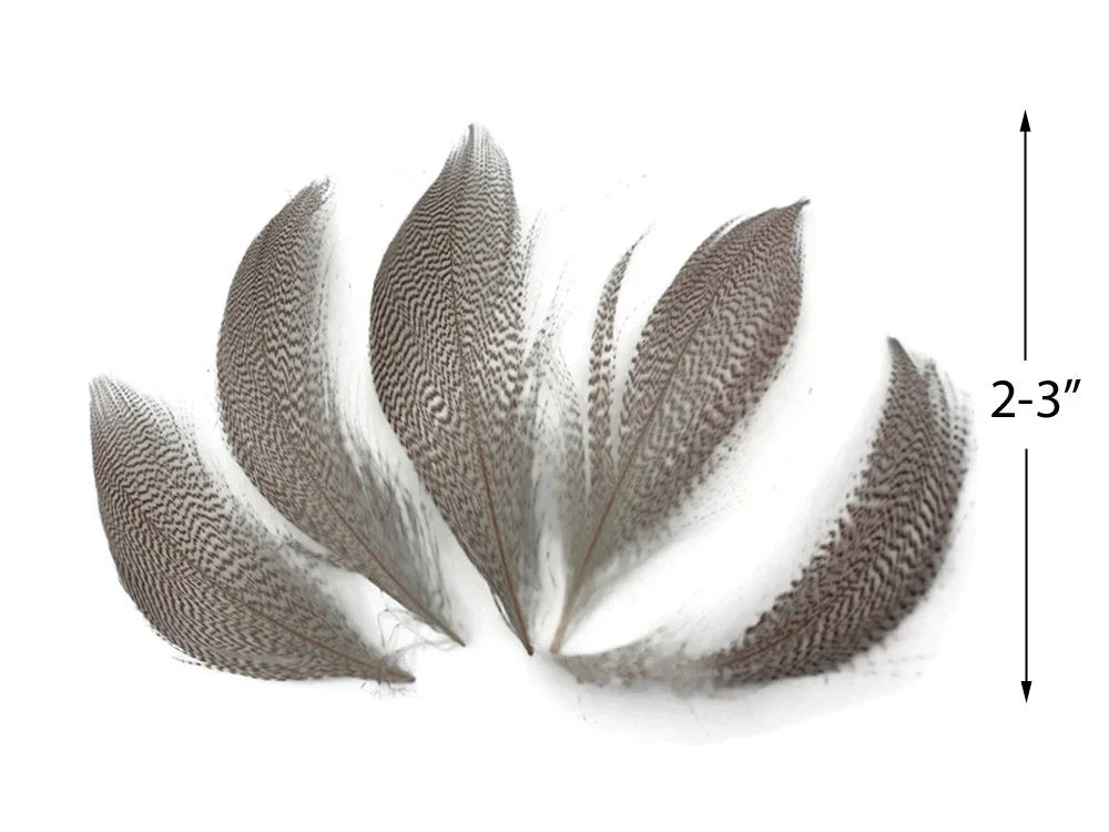 Small 2-3 inch patterned brown and white feathers for crafts and DIY fashion decor.