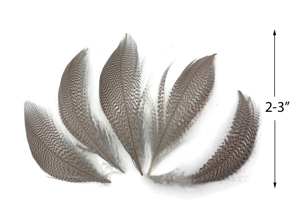 1 Pack - Natural Mallard Duck Flank Plumage Feathers 0.10 Oz.