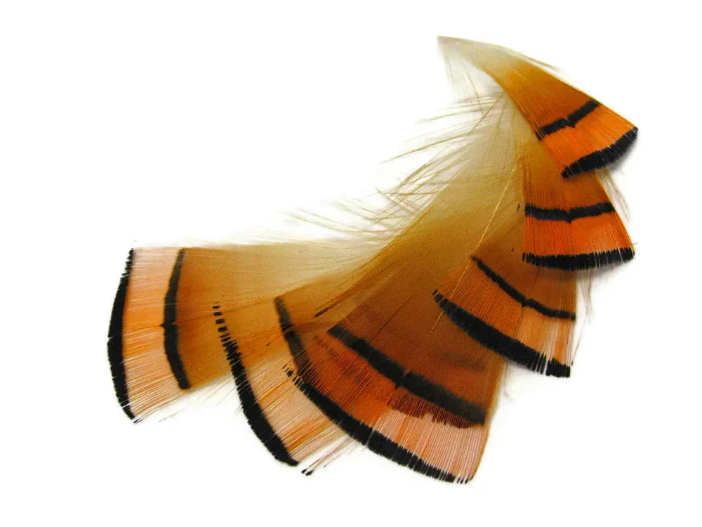 1 Dozen - Natural Orange Golden Pheasant Tippet Neck Plumage Feather
