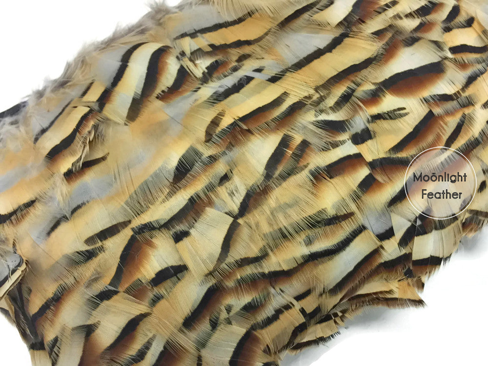 1 Yard - Natural Partridge Hen Plumage Feather Trim