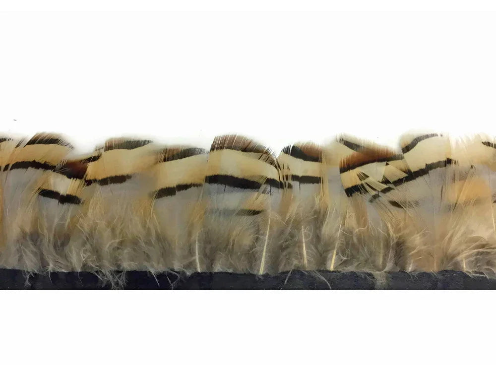 Striped tan and black decorative feathers for DIY crafts and fashion accessories.