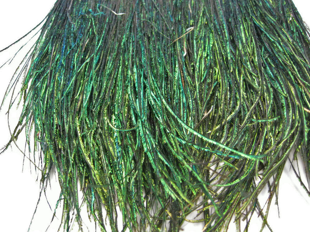 1/2 Yard - 5-7" Natural Iridescent Green Peacock Flue / Herl Strung Wholesale Feathers (Bulk)
