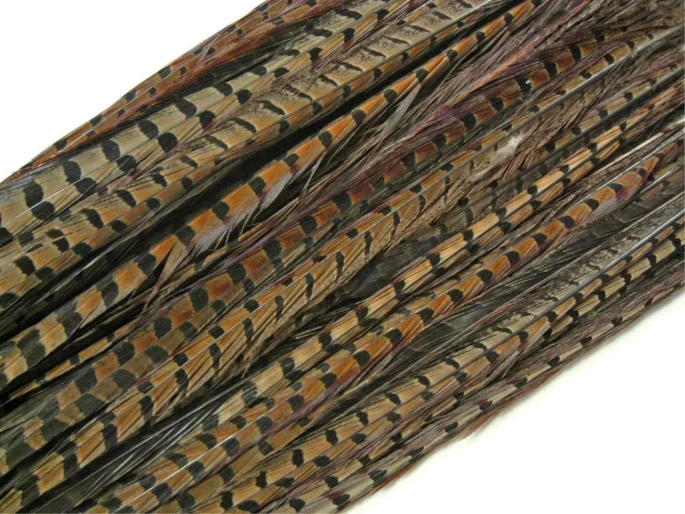 Patterned brown and tan pheasant feathers for crafts and fashion DIY supplies.