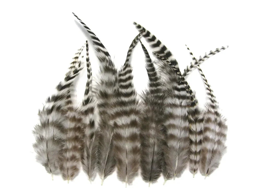 Collection of natural brown and white striped feathers for crafts and decor on a white background