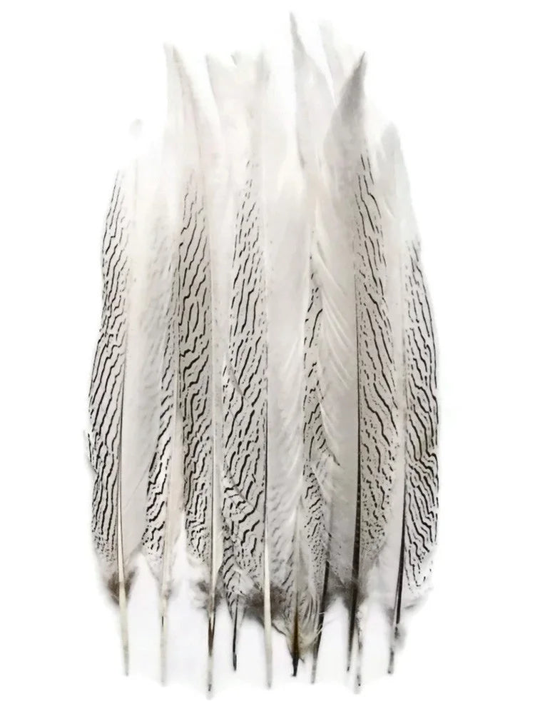 Set of natural white feathers with black patterned stripes for DIY crafts and fashion decor.