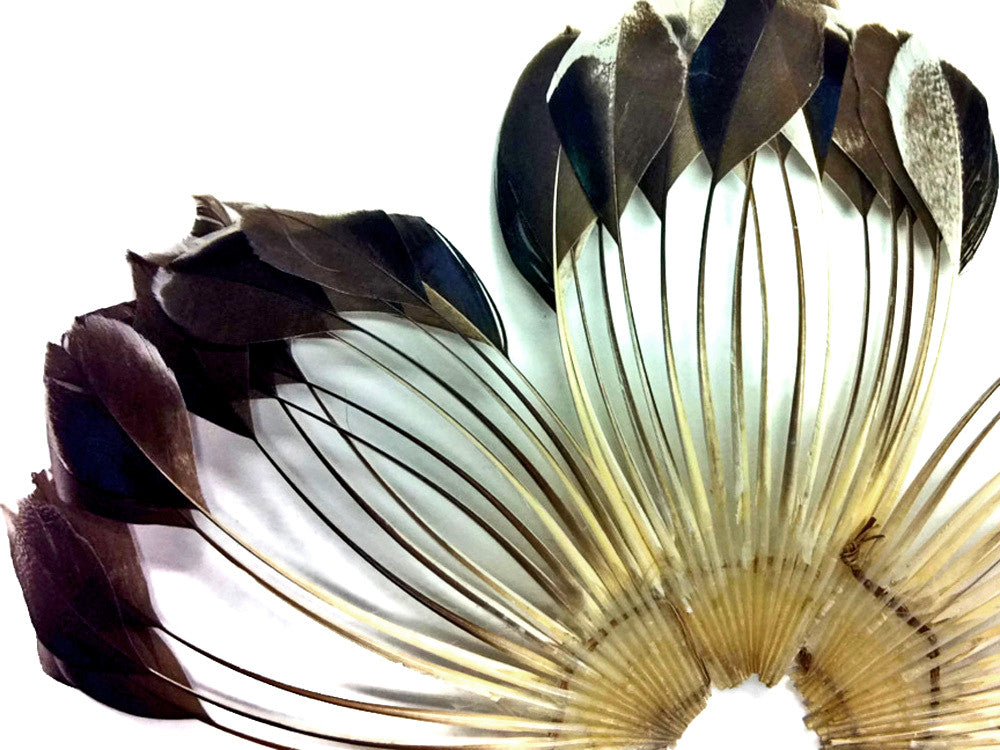1 Piece - Natural Brown Stripped Duck Cochette Center Fan Feather Pad