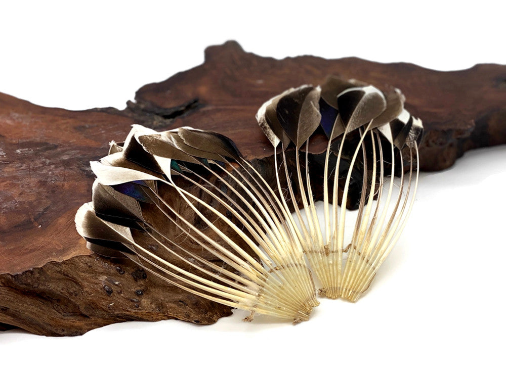 1 Piece - Natural Brown Stripped Duck Cochette Center Fan Feather Pad