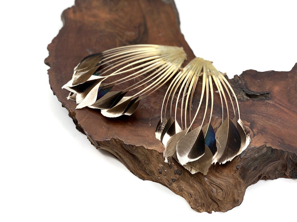 1 Piece - Natural Brown Stripped Duck Cochette Center Fan Feather Pad