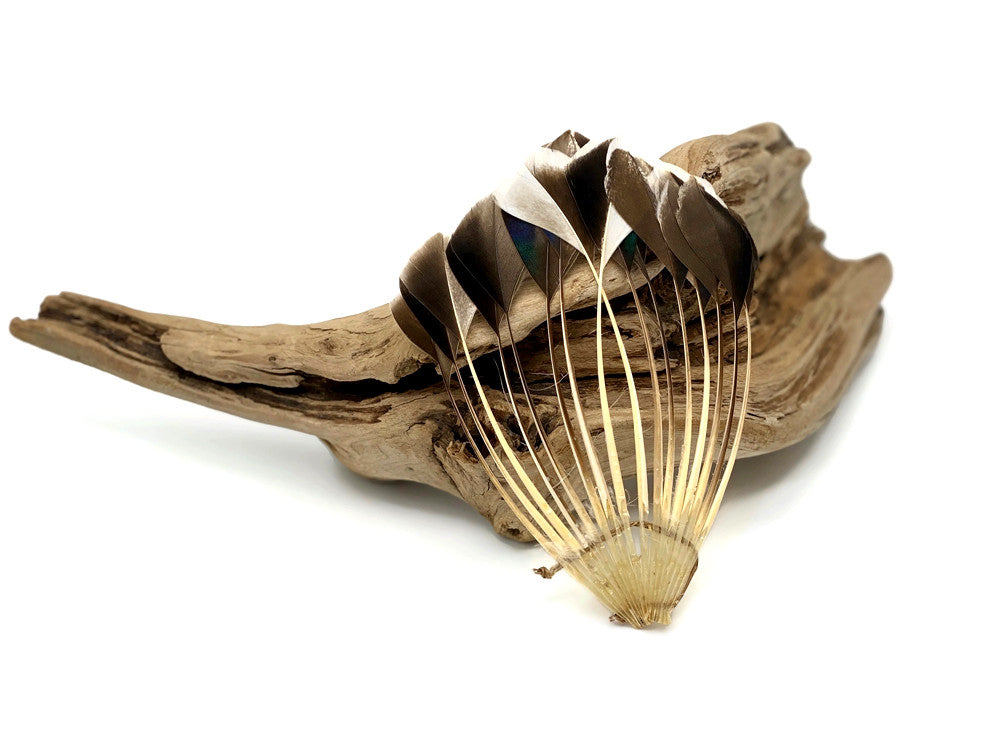 1 Piece - Natural Brown Stripped Duck Cochette Center Fan Feather Pad