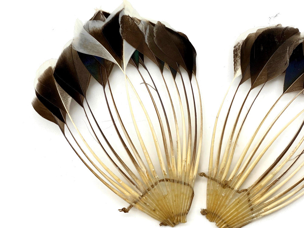 1 Piece - Natural Brown Stripped Duck Cochette Center Fan Feather Pad