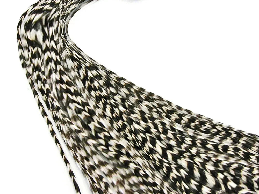 Black and white patterned craft feathers for DIY fashion and decor accessories.
