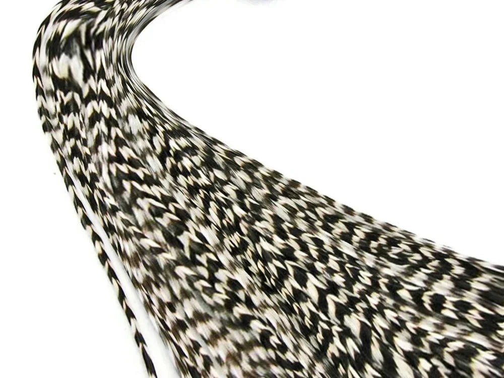 Black and white patterned decorative feathers for DIY crafts and fashion accessories.