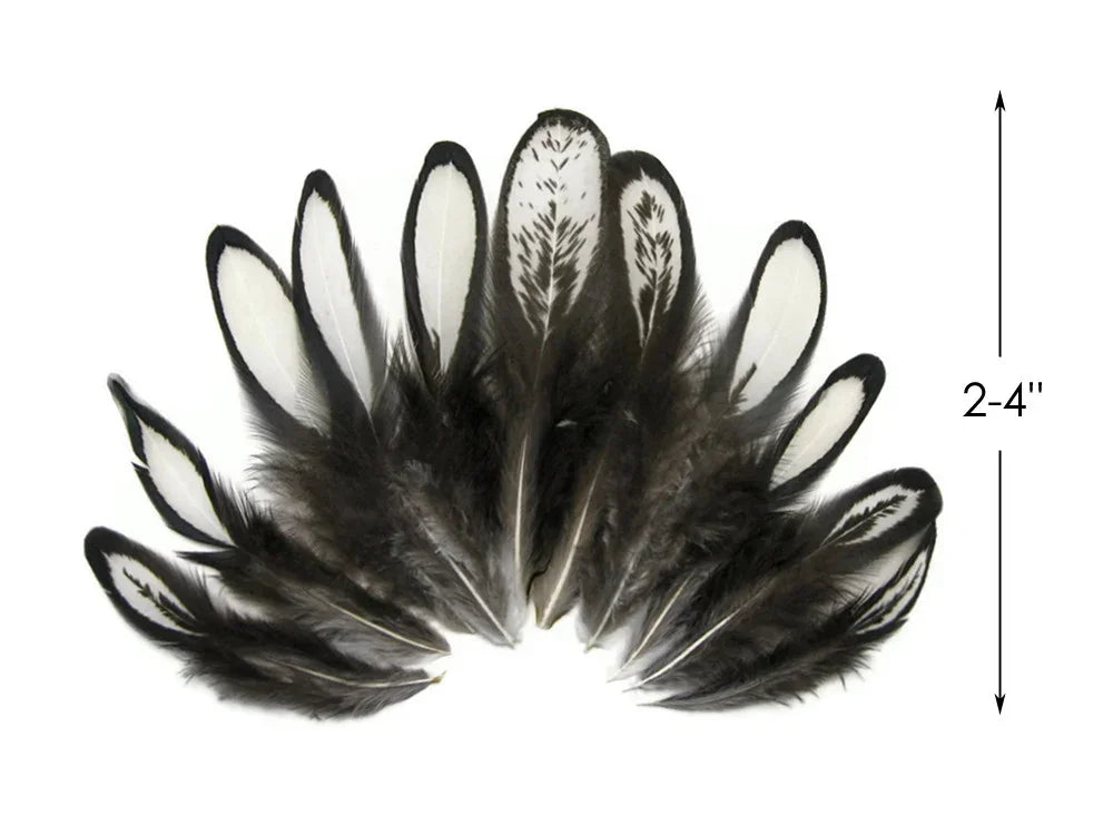 Black and white patterned craft feathers, 2-4 inches in length.